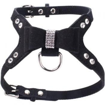 Lederhalsband für kleine und mittelgroße Hunde