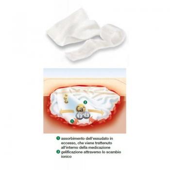 Suprasorb A 10x10 cm 10 pcs
