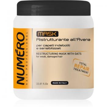 Maschera Ristrutturante per Capelli Brelil Professional 1000 ml