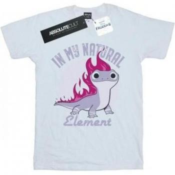 Disney Men’s Frozen 2 Salamander Bruni XXL T‑Shirt (White)