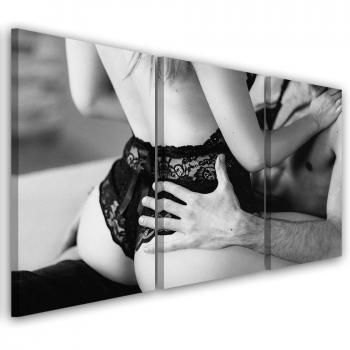 Décoration Murale Sexy en Trois Volets 60x40