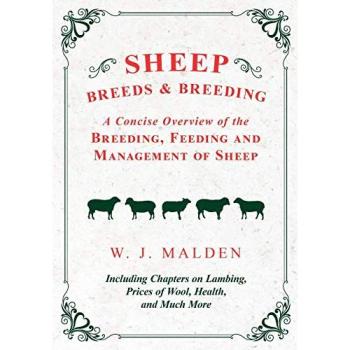Sheep Breeds and Breeding