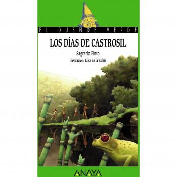 Los dias de castrosil