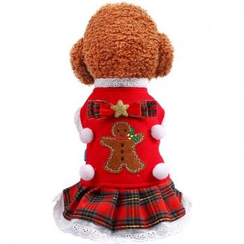 Turtleneck Dog Sweater with Plaid Skirt