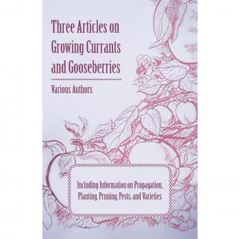 Various: Three Articles on Growing Currants and Gooseberries