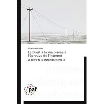 Le Droit à la vie privée à l'épreuve de l'Internet: Le cadre de la protection (Tome I.)