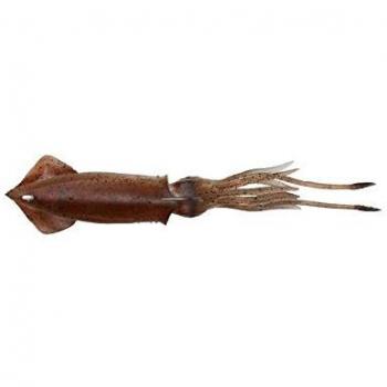 Savage Gear TPE Swim Squid