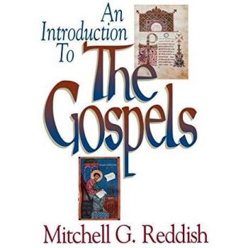 Abingdon Press Introduction to the Gospels (Paperback)