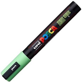 Uni POSCA PC-5M Medium Bullet Tip Paint Marker Pen