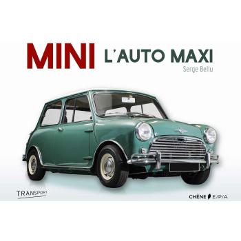 Mini la voiture maximum
