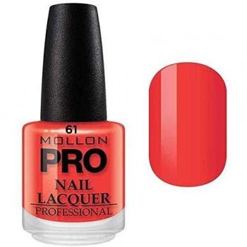 Vernis à Ongles Professional 15 ml