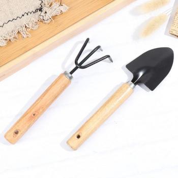 Kit Mini Pelles à Poignées en Bois