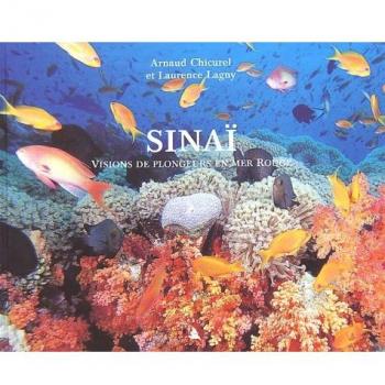 Sinaï. Visions de plongeurs en mer Rouge