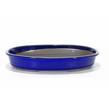 Pollice Verde Vaso Bonsai Blu 34 cm (Ovale)