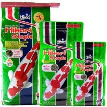 Hikari Koifutter Mini Staple – 10 kg (JPN)