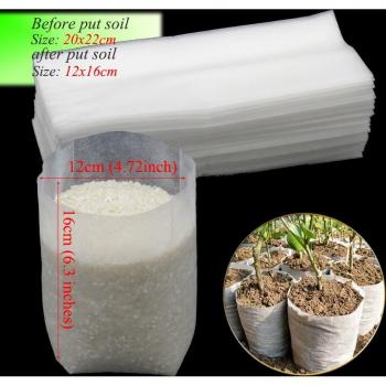 Plantas en Bolsas Biodegradables 20x22cm