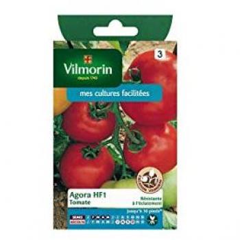 Tomate Horizon HF1 (Agora)
