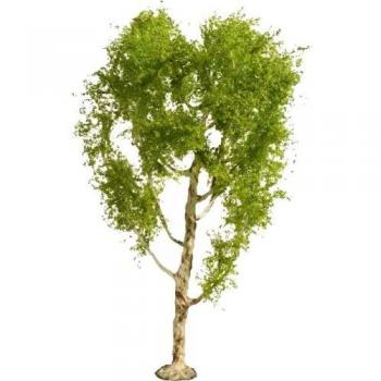 NOCH 20125 Albero Betulla 210 mm