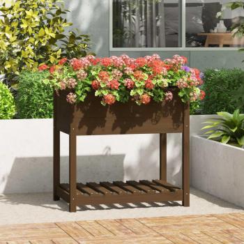 Pino Maciço Vaso + Prateleira VidaXL – Elegância em Madeira