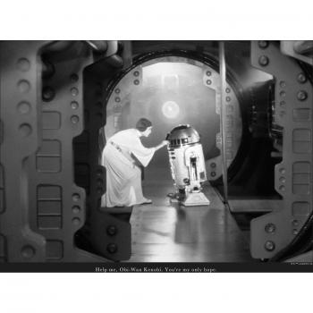 Komar Familienwand: „Leia-R2‑D2 – Iconic Quote“