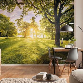 Komar Golden Moment papier peint photo 400x250 cm