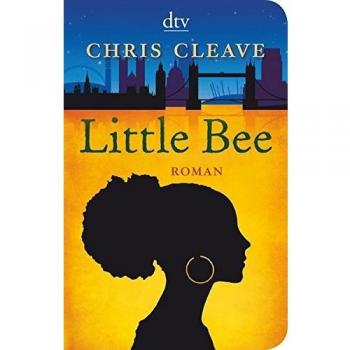 Little Bee: Roman