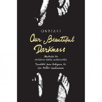 Our Beautiful Darkness : A Graphic Novel