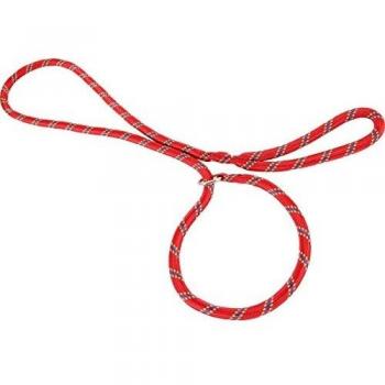 Laisse Zolux Nylon Lasso 1,80M Rouge