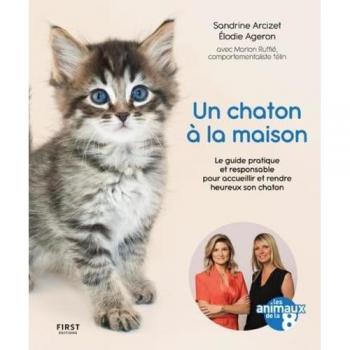 Un chaton à la maison