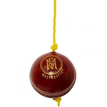 Leather Launch Mastery Cricket Ball