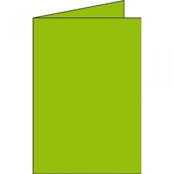 Pollen Doppelkarten C6 von Clairefontaine, 25er Pack, minze