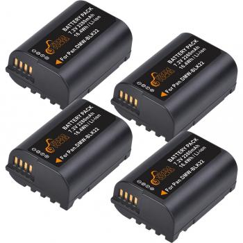Batería Recarga Dual DMW-BLK22 2280 mAh