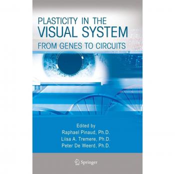 Plasticity in the Visual System: From Genes to Circuits