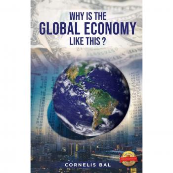 Why Is the Global Economy Like This?