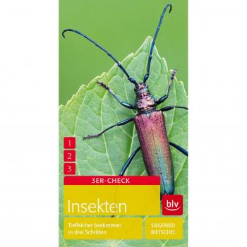 Insekten: Treffsicher bestimmen in drei Schritten