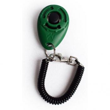 Bracelet d'entraînement ajustable pour animaux