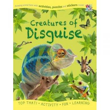 Sticker Activity Book