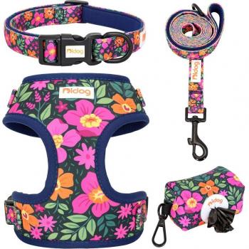 Laisse pour chien