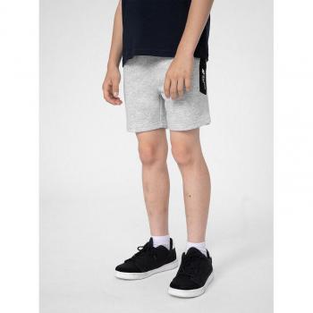 4F Joggingshorts 4FJSS23TSHOM049 Grau