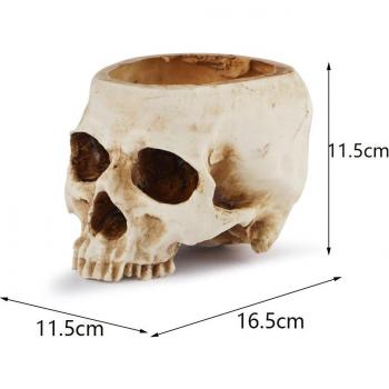 Halloween Skull Decor Planter