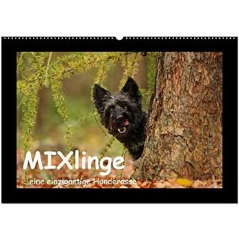 MIXlinge Wandkalender 2025 DIN A2 quer CALVENDO Monatskalender