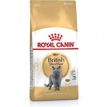 Alimento seco Royal Canin British Shorthair Adulto 4 kg