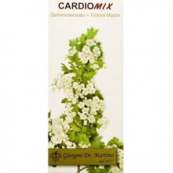 Cardiomix Gemmoderivato + Tm Dr. Giorgini 100ml