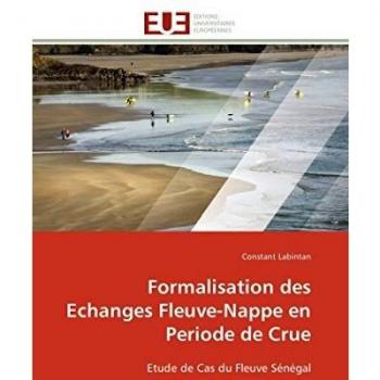 Formalisation des Echanges Fleuve-Nappe en Periode de Crue