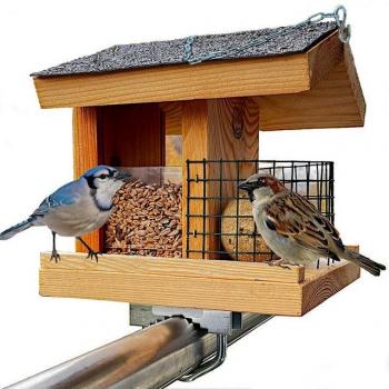 Nourrisseur d'Oiseaux Sauvages STAFECO
