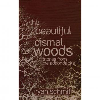The Beautiful Dismal Woods: Short Stories from the Adirondacks