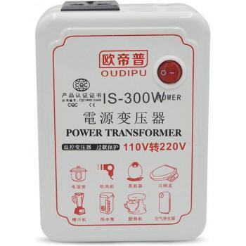 Convertidor de Voltaje de Viaje 120W/300W AC 110V a 220V