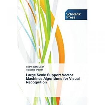 Large Scale Support Vector Machines Algorithms for Visual Recognition