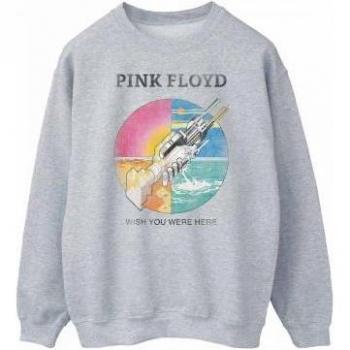 Pink Floyd Herrenpullover „Wish You Were Here“ – XXL grau