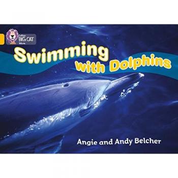 Swimming with Dolphins by Andy Belcher